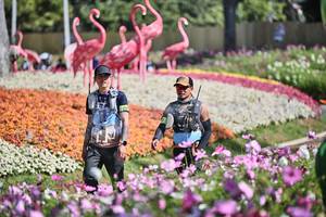 BIB: 
                            <button type="button" onclick="openModal(27793039)" class="btn btn-primary btn-sm float-right btn-popup" data-toggle="modal" data-target=".modal-high-quality">
                        <i class="fas fa-shopping-cart"></i> Add to Cart
                    </button>
                                            <button type="button" onclick="isThisMe(27793039, true)" class="btn btn-success btn-sm float-right btn-popup btn-isme hidden" data-toggle="tooltip" data-placement="bottom" title="นี่คือรูปของคุณใช่ไหม คลิกที่นี่เพื่อเอาเข้าอัลบั้ม">
                        <i class="fas fa-plus"></i> Add to album
                    </button>
                    <button type="button" onclick="isThisMe(27793039, false)" class="btn btn-warning btn-sm float-right btn-popup btn-isnotme hidden">
                        <i class="fas fa-ban"></i> Remove from album
                    </button>